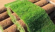  Устройство рулонного газона и ключевые преимущества покрытия